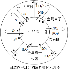 生物化学中的gdp图_第二十二章 癌基因与抑癌基因(2)