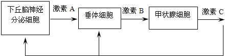 菁優(yōu)網(wǎng)