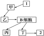 菁優(yōu)網(wǎng)