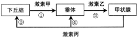 菁優(yōu)網(wǎng)