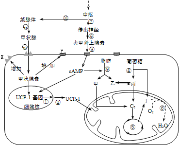 99446427.png