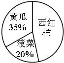 菁优网