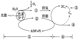 菁優(yōu)網(wǎng)