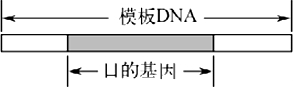 菁優(yōu)網