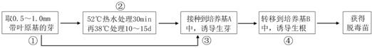 菁優(yōu)網