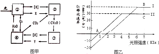 菁優(yōu)網(wǎng)