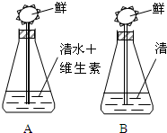 菁優(yōu)網(wǎng)