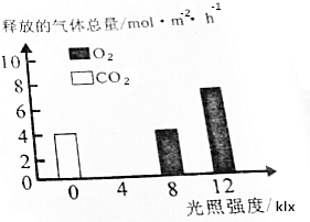 高中小组植物对某日记开展了一系列的生理学研假期暑假生物兴趣图片