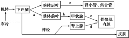 菁優(yōu)網(wǎng)