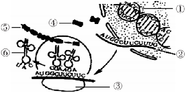 cf5dcc81.png