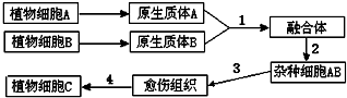 菁優(yōu)網