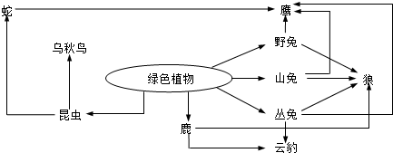 (2)该生态系统除了图中的2种成分外,还包括无机物,有机物,气候 能源