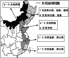 福建历史人口迁徙地图_福建地图(3)