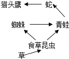 菁優(yōu)網(wǎng)