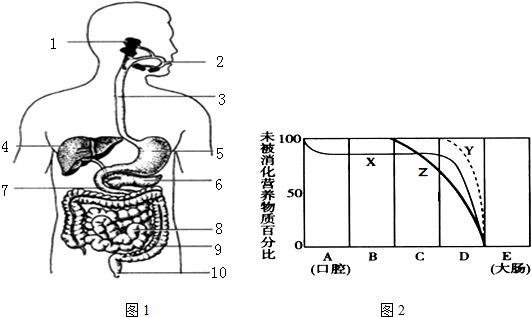 2016年07月22日1889268195的初中生物组卷人体消化系统组成