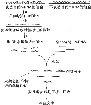 d6377876.png