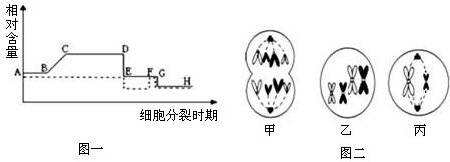 2n=4)体内细胞正常分裂过程中不同时期细胞内染色体,核dna含量(实线)