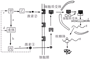 b34f581a.png