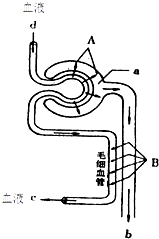 菁優(yōu)網(wǎng)