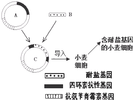 108cdf79.png