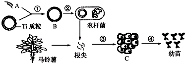 菁優(yōu)網