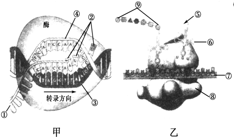 c26acaf9.png