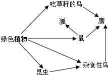 21.如图是某森林生态系统中的食物网简图,请据图回答有关问题