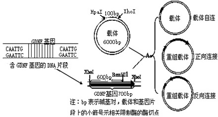 人口研究的意义_2014年城市规划师 城市规划原理 城市人口调查研究的意义(2)