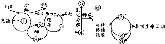 菁優(yōu)網(wǎng)