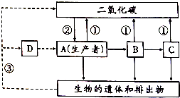 1f037c78.png
