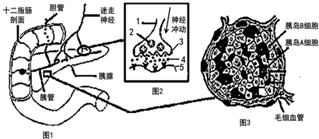 516d8e6b.png