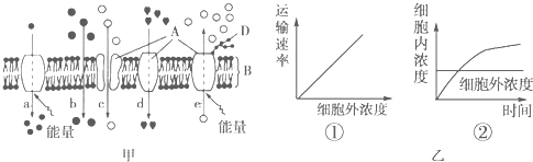 菁優(yōu)網(wǎng)