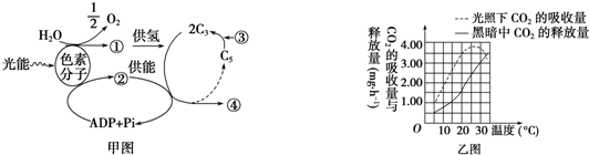 菁優(yōu)網(wǎng)