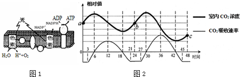 菁優(yōu)網(wǎng)