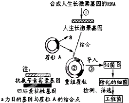 菁優(yōu)網