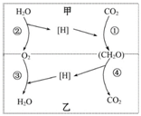 菁優(yōu)網(wǎng)