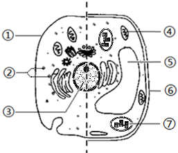 a40f913e.png
