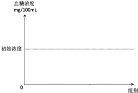 e755dfd5.png