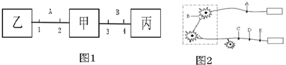 菁優(yōu)網