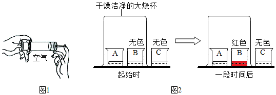 菁優(yōu)網(wǎng)