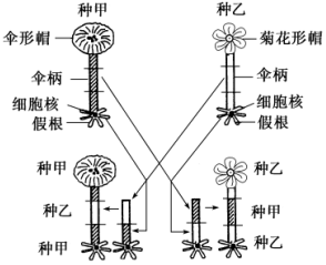 菁優(yōu)網