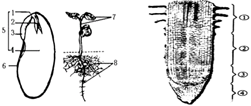 f8ebe724.png