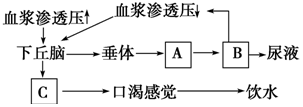 菁優(yōu)網(wǎng)