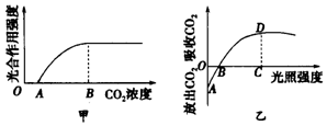 菁優(yōu)網