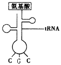 菁優(yōu)網