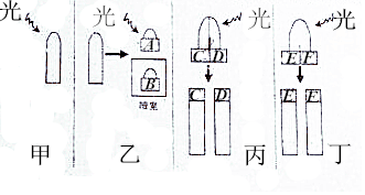 菁優(yōu)網(wǎng)