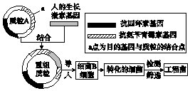 菁優(yōu)網