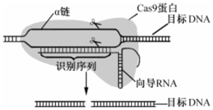 菁優(yōu)網