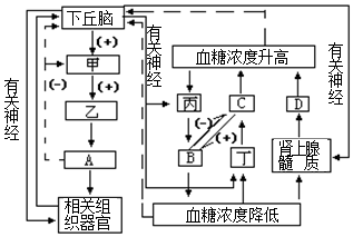 菁優(yōu)網(wǎng)