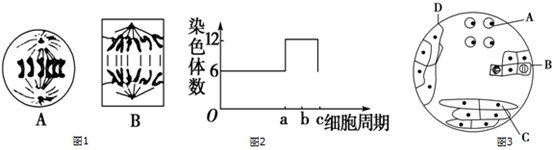 菁優(yōu)網